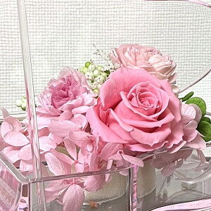 vU[uht[ IS[َq NAsAm WjA P[Xt vU[uht[ \ j aj oYj Vzj ސEj җj