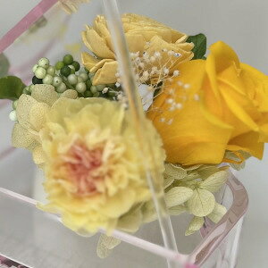 vU[uht[ P[XtJ[l[V sNANsAm \ j aj oYj Vzj ސEj җj vgT[rX