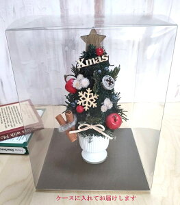 NX}Xc[xmas uU[uht[ P[Xɓ ~jc[ NX}Xc[ c[ 27cm   NX}X c[ c[ v[g  킢 av[