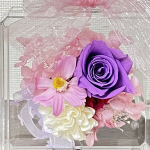 �u���U�[�u�h�t�����[�W�j�A �p�t���[�� ���َq3�t�� M�T�C�Y �����r �A�N�����P�[�X ���� ������� �N���X�}�X �v���[���g���C�g�f�[ �����j�� �a���j�� �o�Y�j�� �V�z�j�� �ސE�j�� 