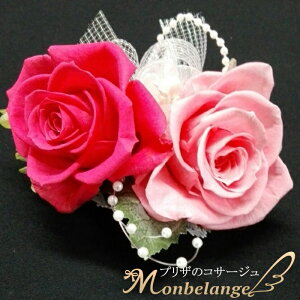 Mtg vU[uht[ y RT[WEzbgsNW  tH[}E Ǝ  w l  񎟉