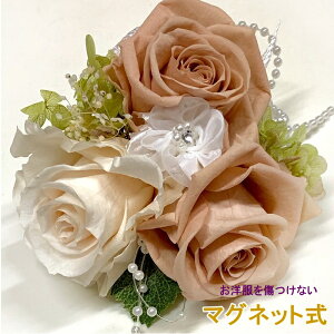 vU[uht[w[[ibc ̓}Olbg RT[W gv   w ƁEp[eB[ a j  Ǝ vU [uh o ANZT@[ j