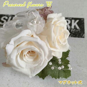 vU[uht[ RT[W _u ̓}Olbg @zCg   w ƁEp[eB[ a j  Ǝ vU [uh o ANZT[ j 