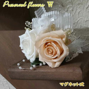 vU[uht[ RT[W k[hsN _u ̓}Olbg   w ƁEp[eB[ a j  Ǝ vU [uh o ANZT[ j 