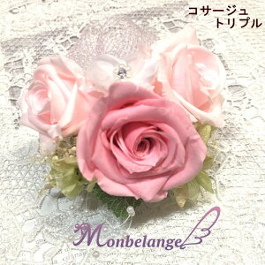 Mtg vU[uht[ y RT[WE~L[sNgv  tH[}E Ǝ  w l  񎟉