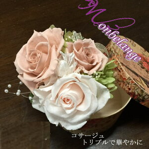 Mtg vU[uht[ RT[WEgv k[hsN EtH[}  Ǝ  w l  񎟉@RT[W