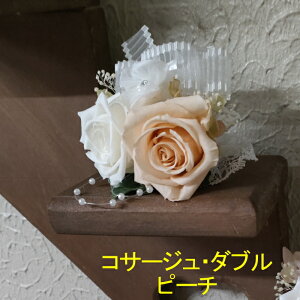 Mtg vU[uht[ y RT[WWE s[`  tH[}E Ǝ  w l  񎟉