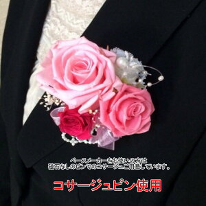 vU[uht[ y RT[WEzbgsN gv yΉ  tH[}  Ǝ  w l 