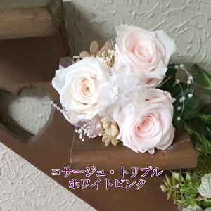 vU[uht[ y RT[WERT[WEzCgsN gv@vU[uht[  tH[}E Ǝ  w l  񎟉