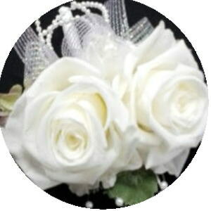 vU[uht[ RT[WΕt@_u ̓}Olbg NsN m߂܂  tH[}  Ǝ  w l  񎟉 