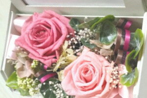 MtgvU[uht[ V[tHg{bNX A 傫ȃo ʐ^ j aj oYj Vzj ސEj җj ԁE AWgE{bNuht[