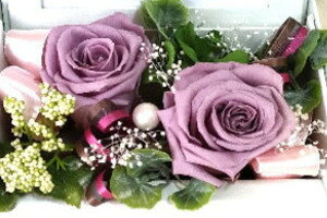 MtgvU[uht[ V[tHg{bNX A 傫ȃo ʐ^ j aj oYj Vzj ސEj җj ԁE AWgE{bNuht[