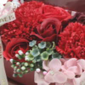 \[v t[ XgCvV{ tHg t[@ʐ^ j aj oYj Vzj ސEj җj  vgT[rX NX}X Ε