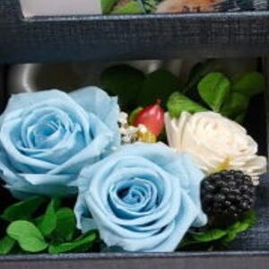 �v���U�[�u�h�t�����[ �I���S�[�� �t���t�H�g �{�b�N�X �ʐ^�v�����g�T�[�r�X �v���U�[�u�h�t�����[ ���E�Ɉ�����̉� �����Ɩ�b �Ђ܂��̖� ������ �A�����W�����g�E�{�b�N�X�t��