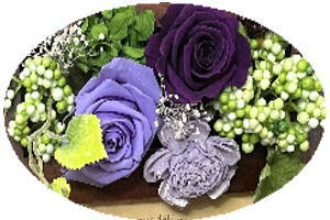 vU[uht[ NAsAm o P[Xt\ j aj oYj Vzj ސEj җj