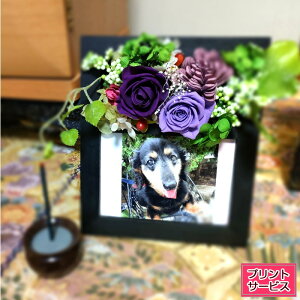 vU[uht[ Jp[j tHg X^h ʐ^  j aj oYj Vzj ސEj җj   AW NX}X Ε