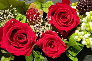 Jp[j tHg X^huU[uht[ ʐ^  ~ ~E ފ @ a m ybg  O d O  AW y