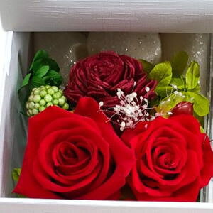 vU[uht[ IS[ ttHg {bNX ʐ^vgT[rX vU[uht[ EɈ̉ Ɩb Ђ܂̖  AWgE{bNXt