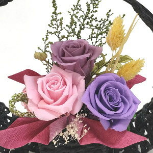 vU[uht[ }Jt avUEʍ Ε a  ސEj җj j Êj Pj aj Vzj   