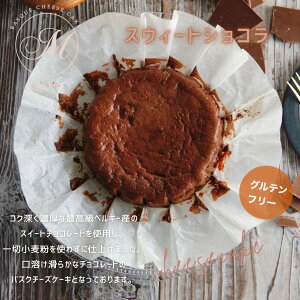 qfBAɑЉ܂Ir xM[Y`R[g̃oXN`[YP[L `[YP[L Oet[ `R[g P[L 4 a12cm Z XC[c mَq v[g 