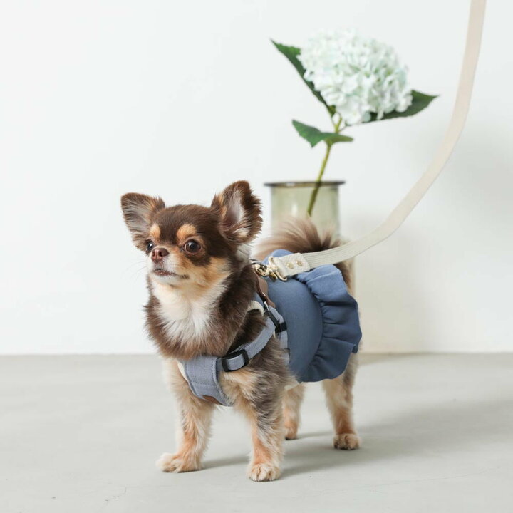 LINE追加10%OFFクーポン犬 ハーネス かわいい おしゃれ 人気 ブランド トイプードル チワワ 小型犬 超小型犬 中型犬 moncheri モンシェリ : moncheri店 LINE追加10%OFFクーポン犬 ハーネス かわいい おしゃれ 人気 ブランド トイプードル チワワ 小型犬 超小型犬 中型犬 moncheri モンシェリ : moncheri店