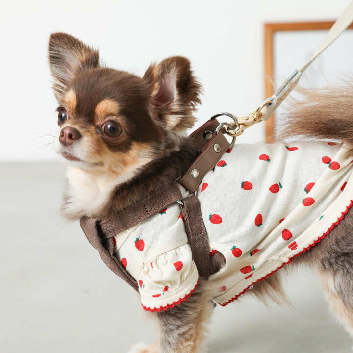 楽天市場 Line追加10 Offクーポン 犬 ハーネス かわいい おしゃれ 人気 ブランド トイプードル チワワ 小型犬 超小型犬 中型犬 Moncheri モンシェリ Moncheri楽天市場店 楽天市場 Line追加10 Offクーポン 犬 ハーネス かわいい おしゃれ 人気 ブランド トイプードル チワワ 小型犬 超小型犬 中型犬 Moncheri モンシェリ Moncheri楽天市場店