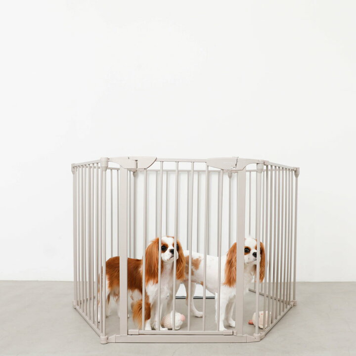 楽天市場】【LINE追加10%OFFクーポン】 moncheri モンシェリ 犬 ペット  