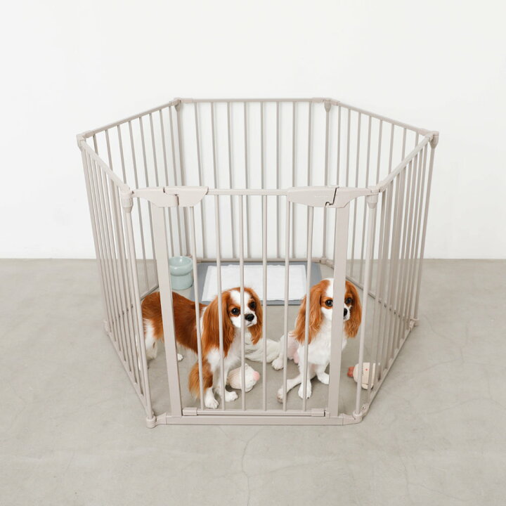 楽天市場】【LINE追加10%OFFクーポン】 moncheri モンシェリ 犬 ペット 
