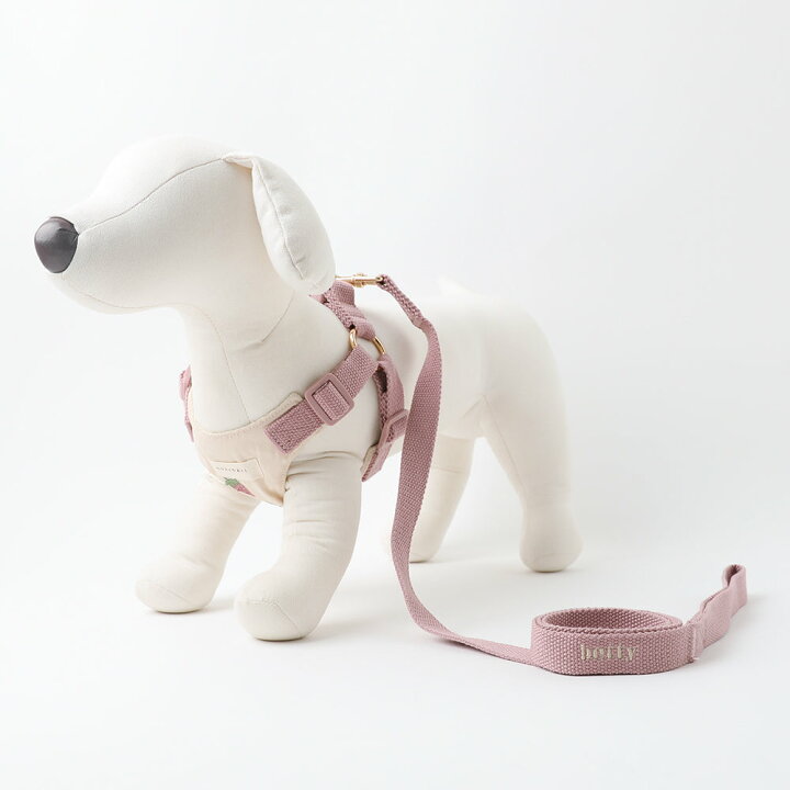 楽天市場】【LINE追加10%OFFクーポン】 moncheri モンシェリ 犬 