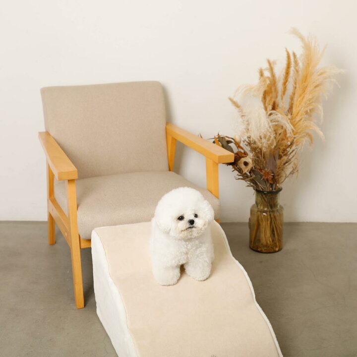 楽天市場】【LINE追加10%OFFクーポン】 moncheri モンシェリ 犬 ドッグ 