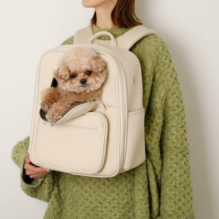 楽天市場】【LINE追加10%OFFクーポン】 moncheri モンシェリ 犬 ペット 
