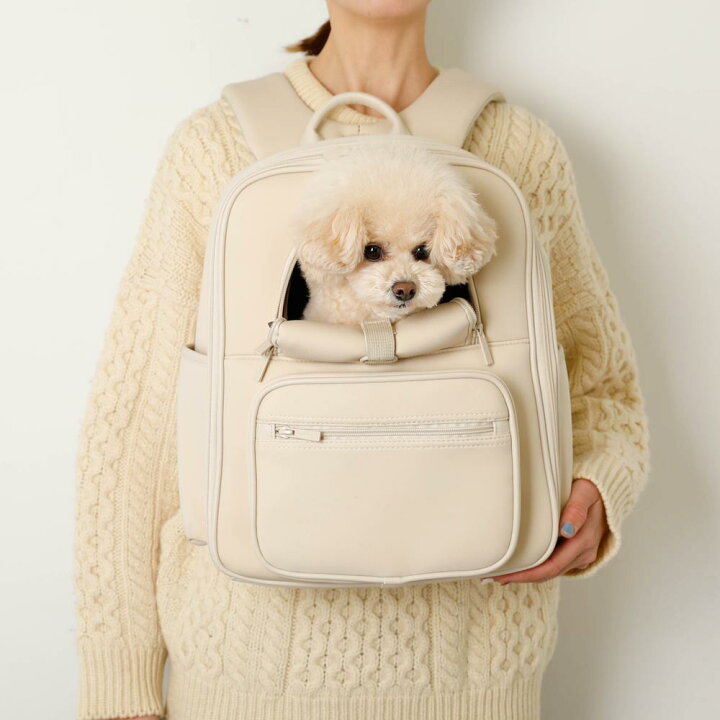 楽天市場】【LINE追加10%OFFクーポン】 moncheri モンシェリ 犬 ペット 