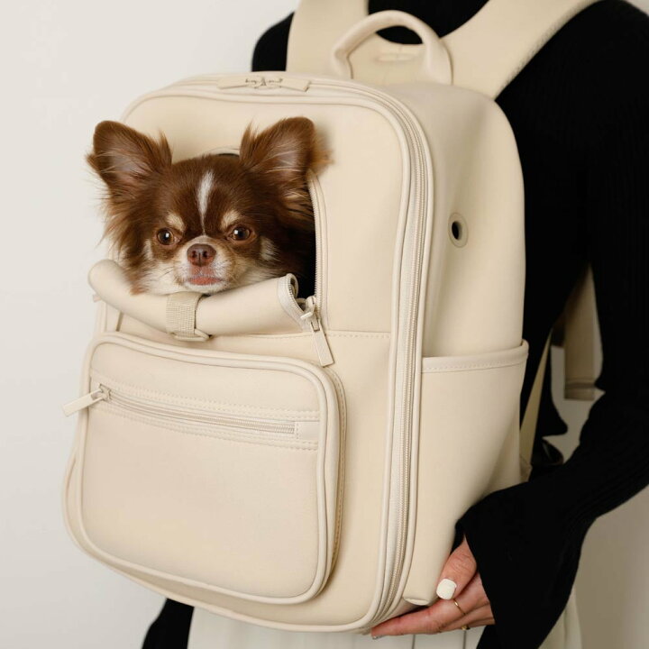 楽天市場】【LINE追加10%OFFクーポン】 moncheri モンシェリ 犬 ペット 