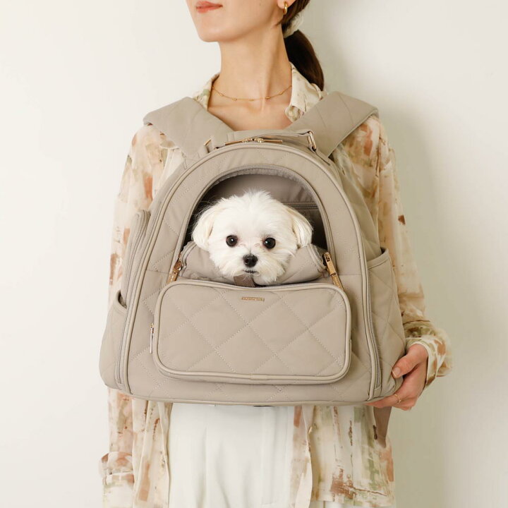 楽天市場】【スーパーSALE期間20%OFF】 moncheri モンシェリ 犬 ペット 