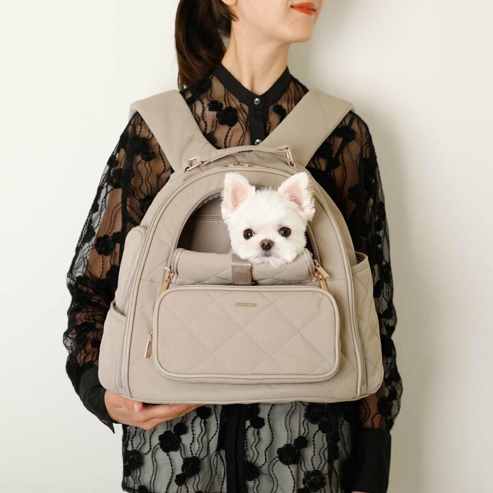 楽天市場】【期間限定10%OFF】 moncheri モンシェリ 犬 ペット 