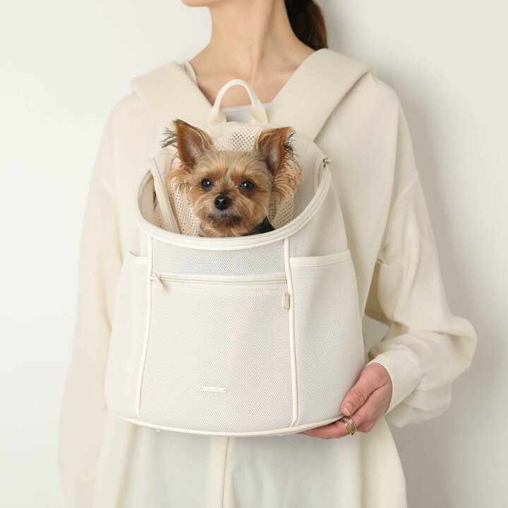 楽天市場】【LINE追加10%OFFクーポン】 moncheri モンシェリ 犬 ペット 