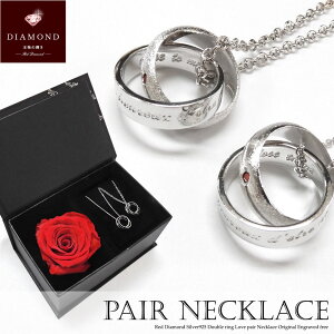 t[{bNXEefBxAt yAlbNX 󖳗 _Ch Vo[925 _uO Jbv l Y fB[X Zbg Mtg v[g silver925  bh_C Clo