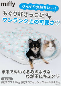 ~btB[ miffy 񂲃N[| ybgp  L bNX ΍