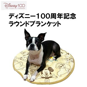 y Disney fBYj[ z100NLO胂f EhuPbg | ybgp  L