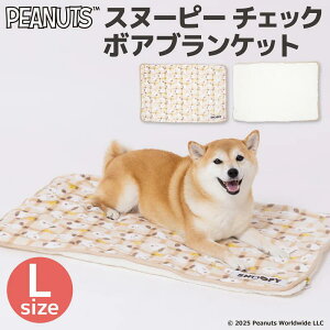 Xk[s[ `FbN{AuPbg L | ybgp  L h ChA SNOOPY PEANUTS