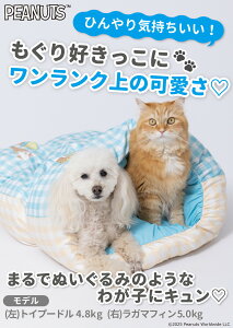 Xk[s[ SNOOPY PEANUTS ACXN[| ybgp  L bNX ΍