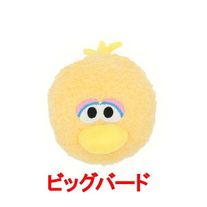 ZT~Xg[gtFCXgC@G NbL[X^[ rbOo[h IXJ[ Ar[  