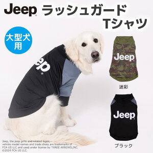 JEEP bVK[hTVc ^ W[v  AEghA U