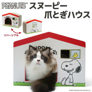 Xk[s[nEX܂Ƃ L ߂Ƃ PEANUTS