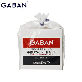 gaban 手作りのカレー粉セット 100g スパイス20種類