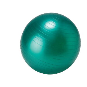 Kpi St  bX IDEAL BODY ACfBA {fB tBbglX{[ O[ 55cm IBFG-5758 yIRz