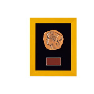 �D�� ��� �S���t �R���y �����J�� V-Shika �X�^���_�[�h�| VS.5063-B �yIR�z