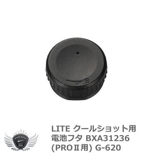 St  [U[ N[Vbgpdrt^ BXA31236(PROIIp) G-620 yIRz