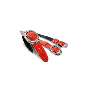 ȃl[v[gpxg 芷 p StAEghA obO₩΂Ȃǃt@bVɍ킹 l[^O fB[X Y LfBobOyssnmplz