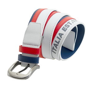 St lCuh tBSt ꂽIVȃYxg ̂Ȃ\tgf StEGA X|[cV[ɍœK JbgăfB[Xgp VjA F